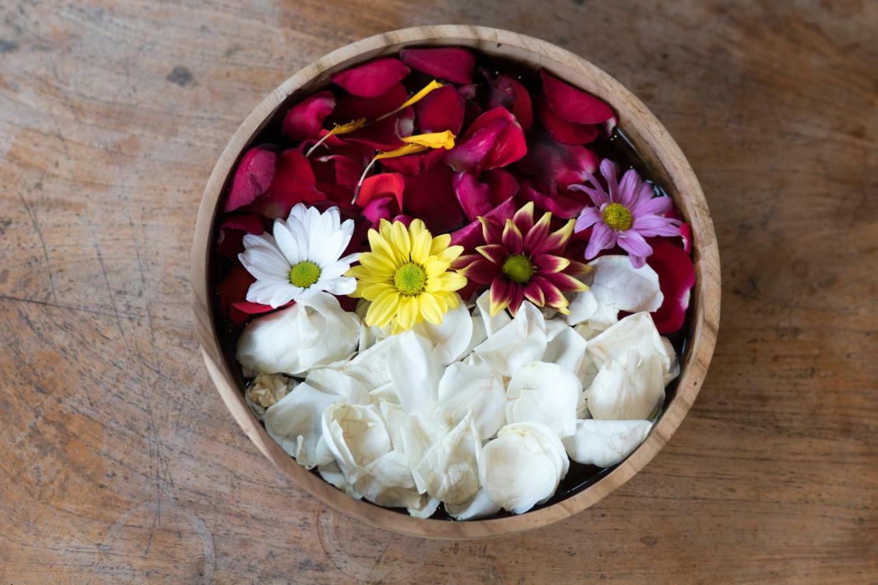 Ari Cottages Ubud Εξωτερικό φωτογραφία